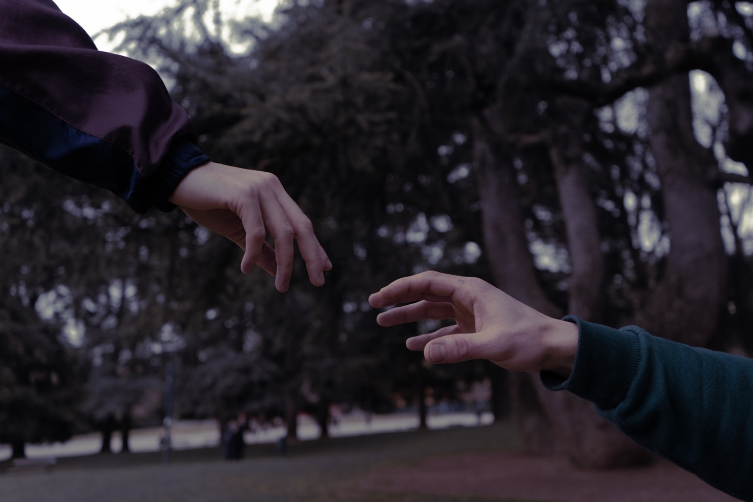 Empowering Individuals Through End-of-Life Education